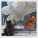THBYD-cady-123.thumbnail.jpg