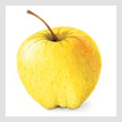 almanac-appleT.jpg