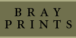 bray-logo.gif