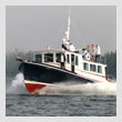 wilbur46T.jpg