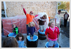 Harvest Festival Cellar Door Vineyard
