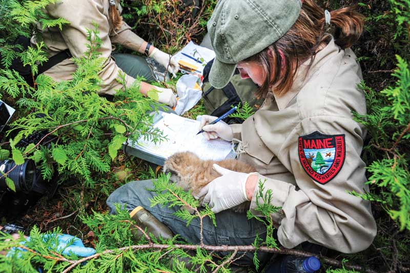 Maine Department of Inland Fisheries & Wildlife - Interested in