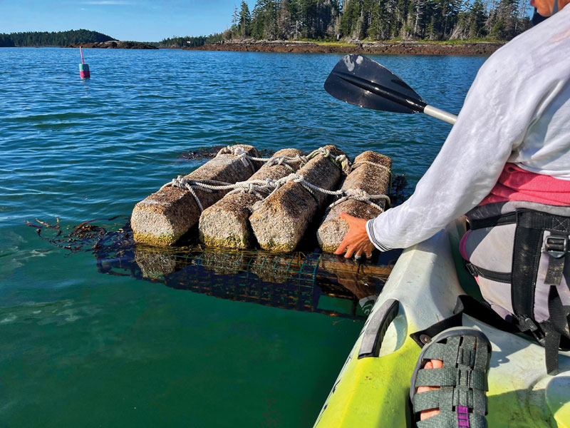 Mushroom buoys & a hybrid ferry