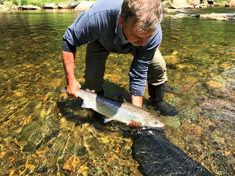 Atlantic Salmon Fishing