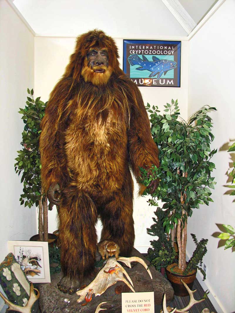 Bigfoot, libidos, telephones? | Maine Boats Homes & Harbors