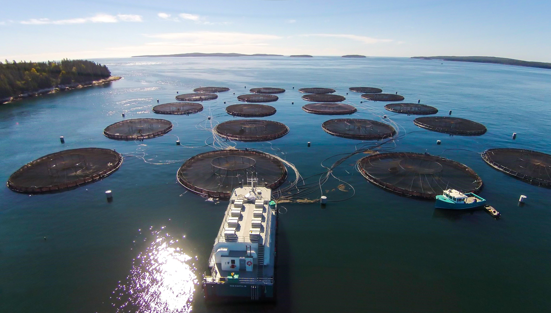 Salmon Farming has Come a Long Way From the Early Days | Maine Boats Homes & Harbors