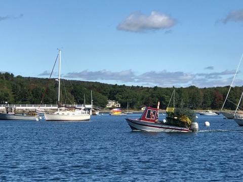 Maine's lobster landings inch back up