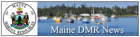 Lobsterman charged with fishing violations