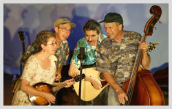 Evergreen Bluegrass band