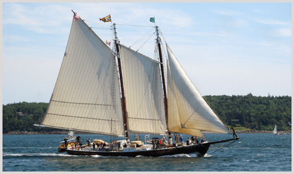 Schooner J. & E. Riggin Day Cruises - All You Need to Know BEFORE You Go  (with Photos)