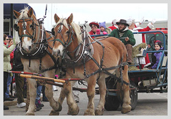 Rockland Festival of Lights