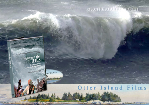 Waves by Otter Island Films
