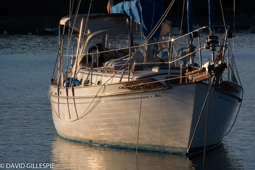 Photograph by David Gillespie