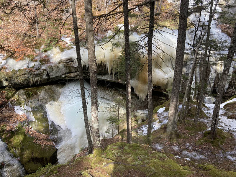 Photograph by Peggy Fitzgerald