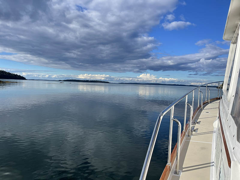 Photo by Kat Woodworth