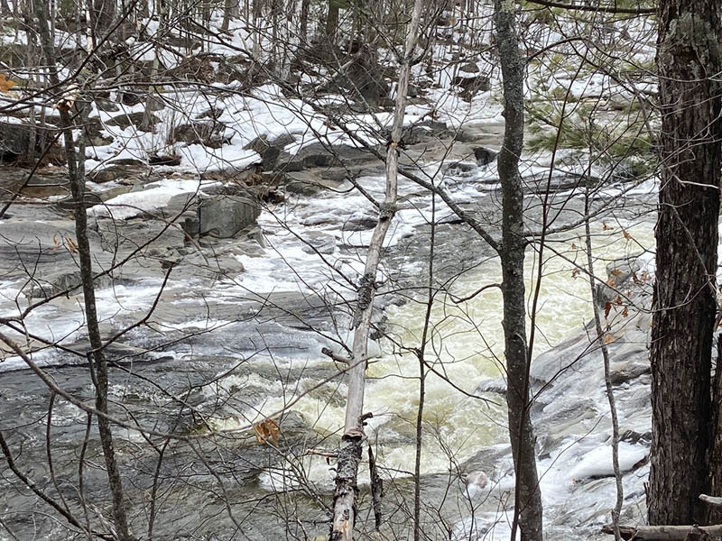 Photograph by Peggy Fitzgerald