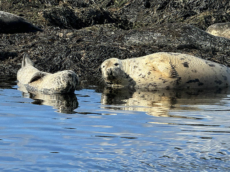 Photo by Kat Woodworth