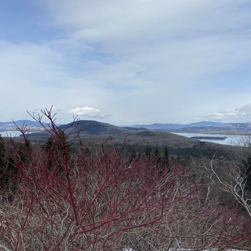 Photograph by Peggy Fitzgerald