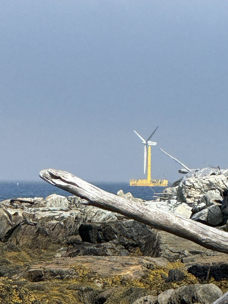 Photo by Kat Woodworth