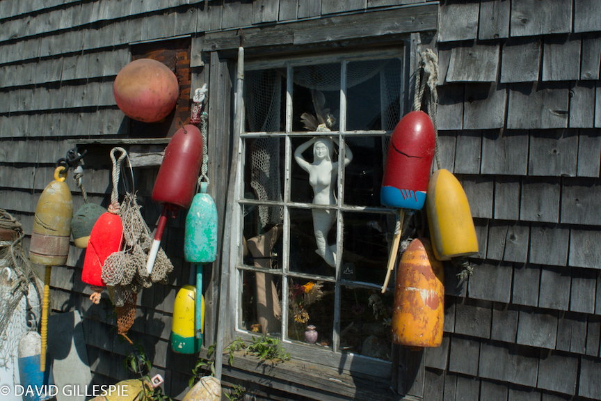 Photograph by David Gillespie