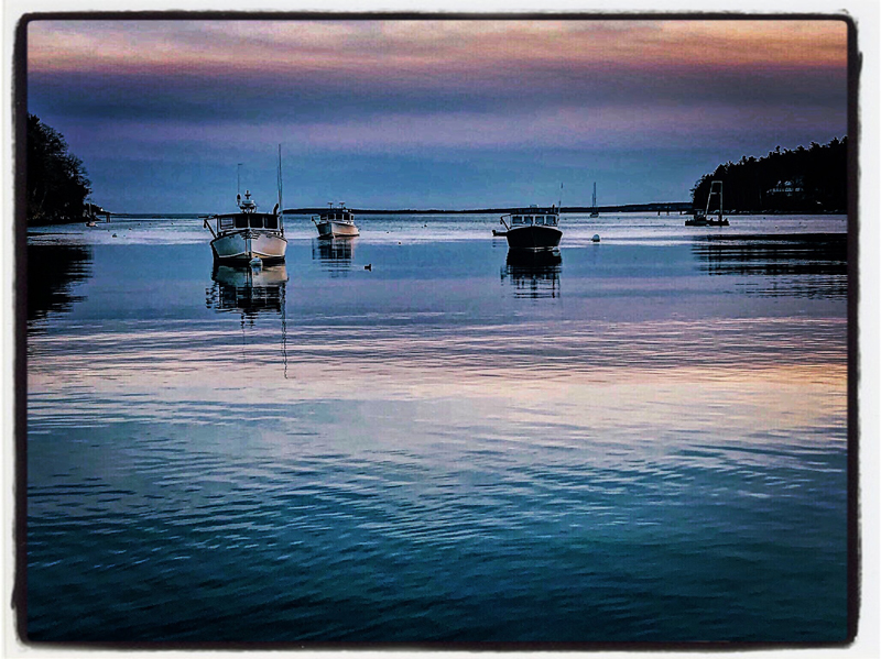 Photograph by Deborah Chatfield