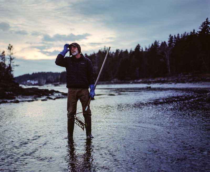 Photograph by William Trevaskis