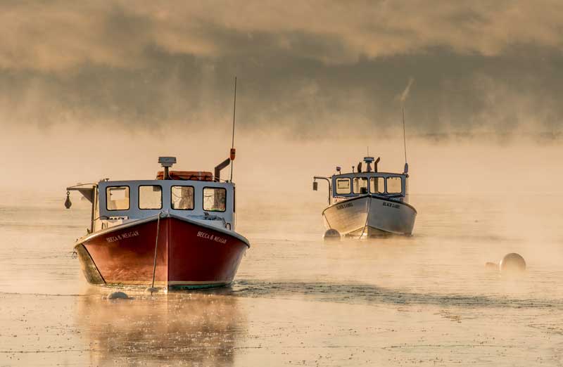 Photographs by Ed Kenney