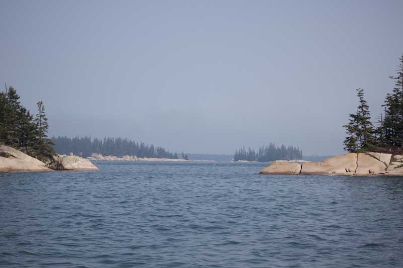 Photograph by Emily Qualey