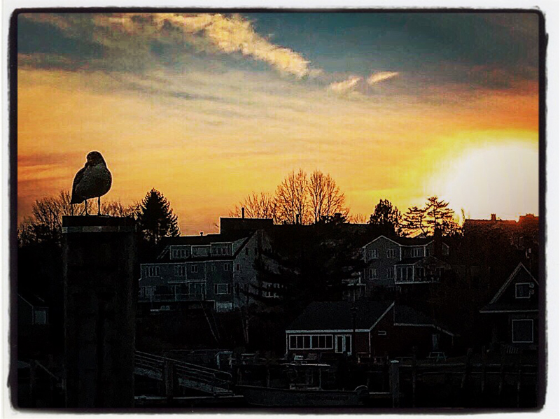 Photograph by Deborah Chatfield