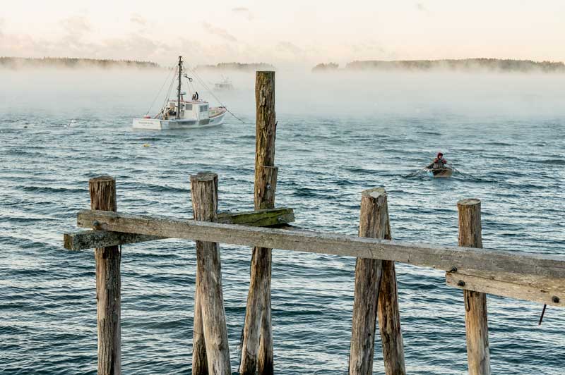 Photographs by Ed Kenney