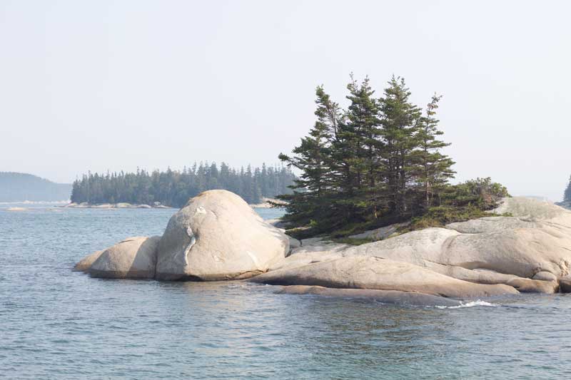 Photograph by Emily Qualey