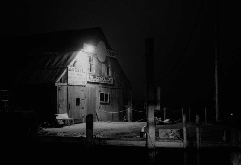 Photograph by William Trevaskis
