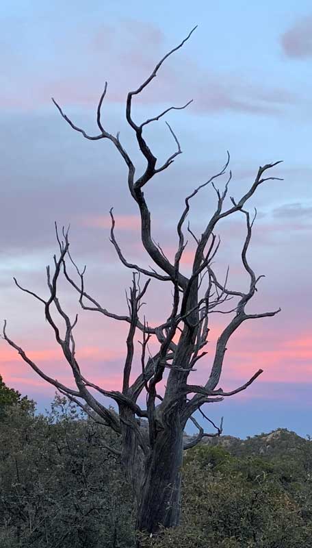 Photograph by John E. Kachmar