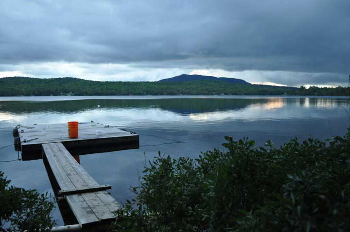 Photograph by Emily McDevitt