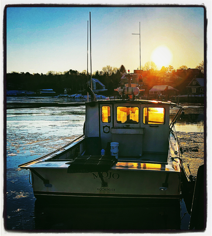 Photograph by Deborah Chatfield