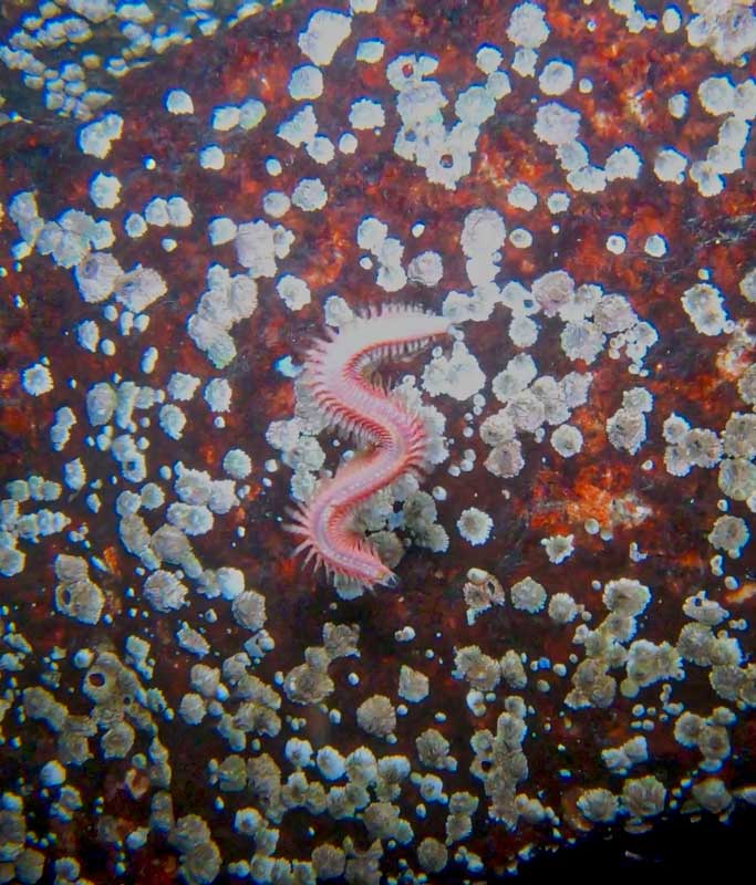 Photograph by by Alison McKellar