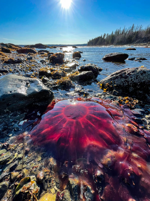 Photos by Zoe Weil
