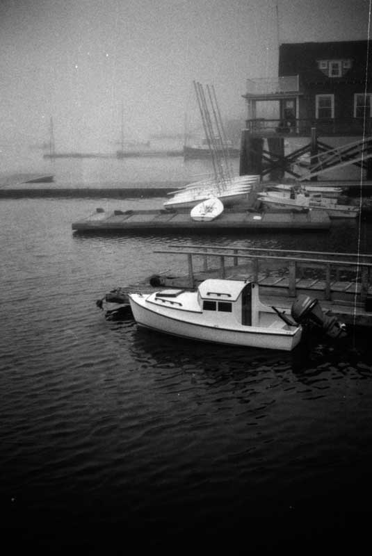Photograph by William Trevaskis