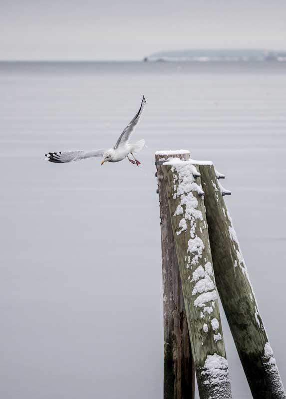 Photographs by Ed Kenney