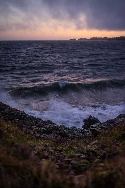 Photograph by William Trevaskis