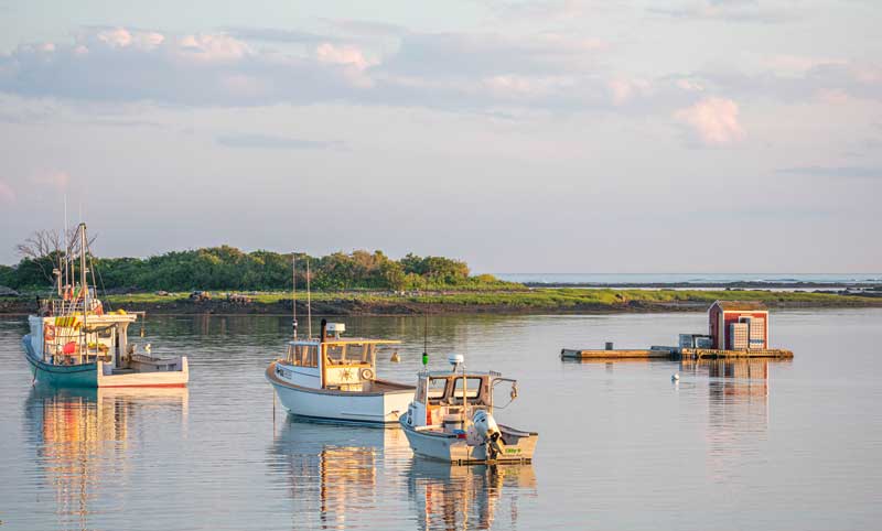 Photograph by Cynthia Fitzmorris