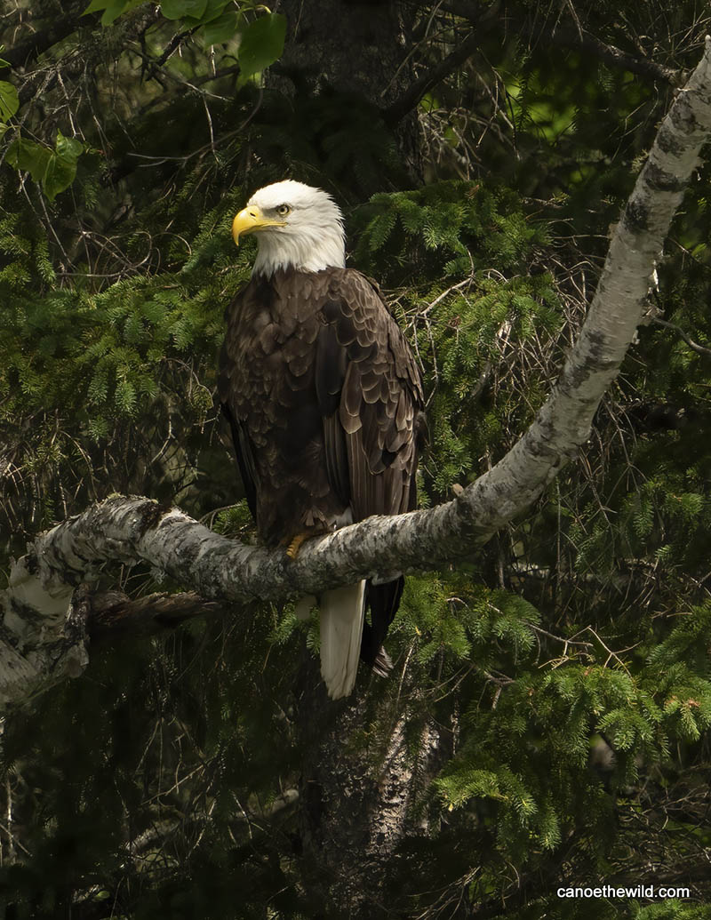 Photographs & text by Dave Conley