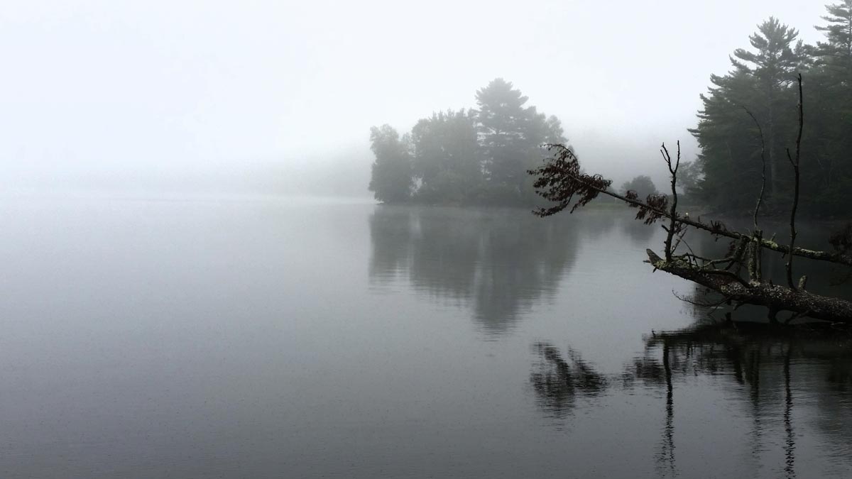 Photograph by Kit Aroneau