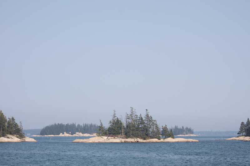 Photograph by Emily Qualey