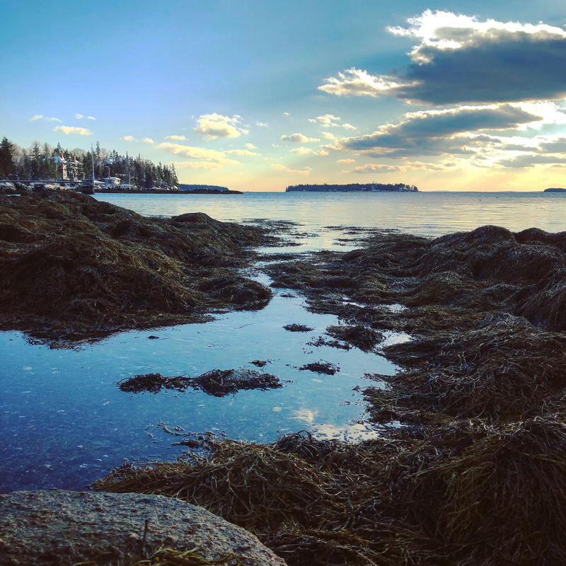 Photograph by Deborah Chatfield