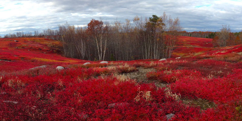 Photos by Zoe Weil