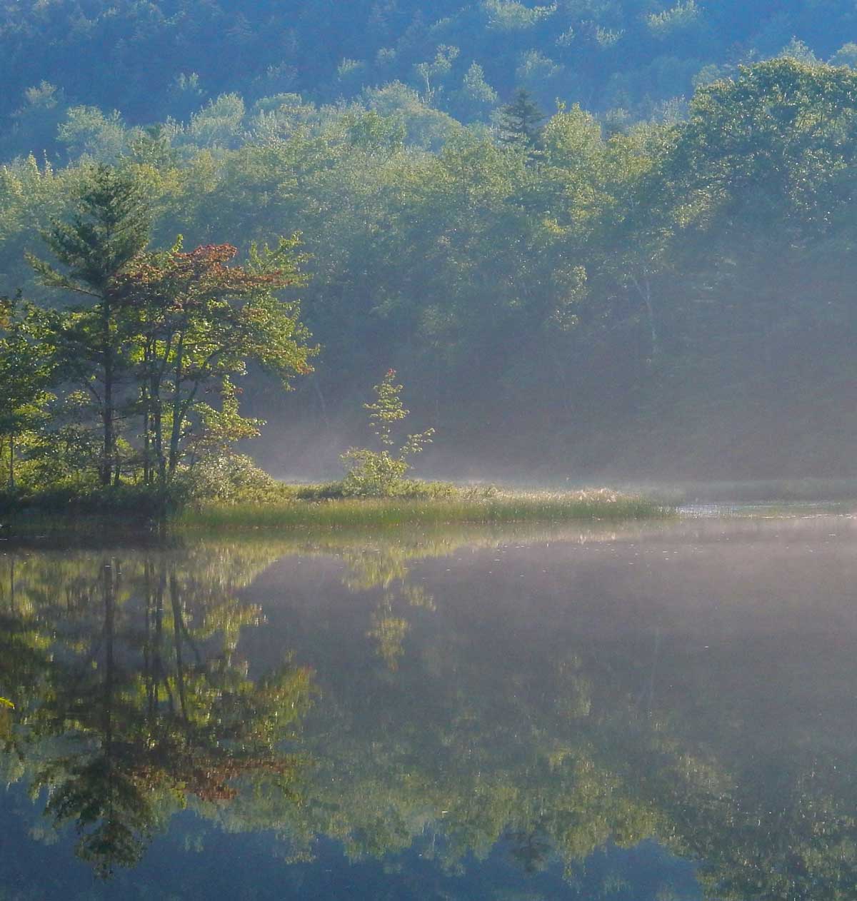 Photograph by Judy Berk