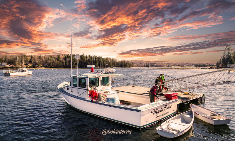 Photograph by Terry Boivin