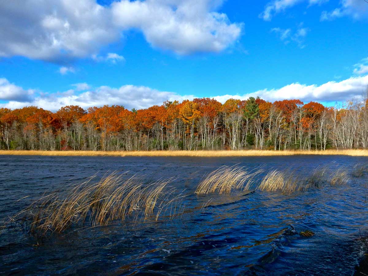 Photograph by Judy Berk