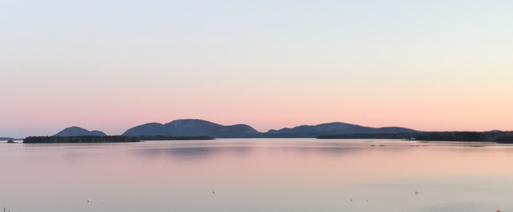 Photograph by Leslie Harlow